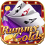 rummy game 91